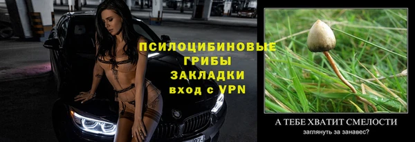стаф Аркадак