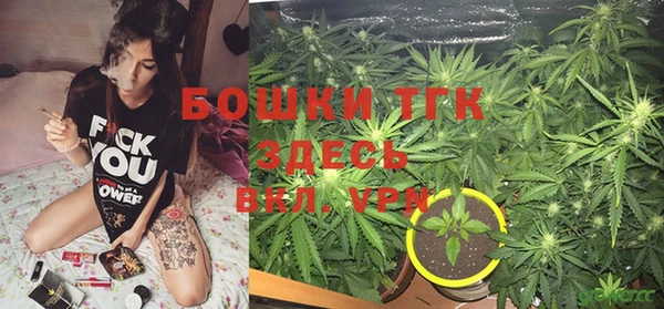 стаф Аркадак