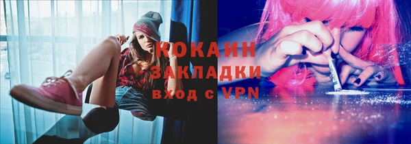 стаф Аркадак