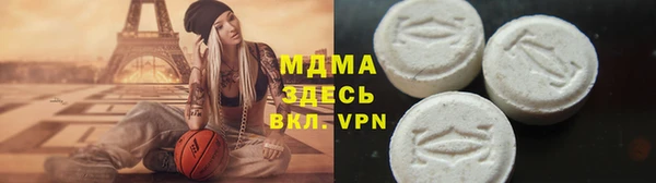 стаф Аркадак