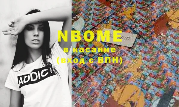 стаф Аркадак